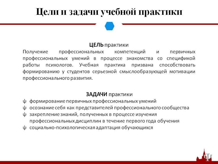 Отчет по производственной практике техника программиста в школе