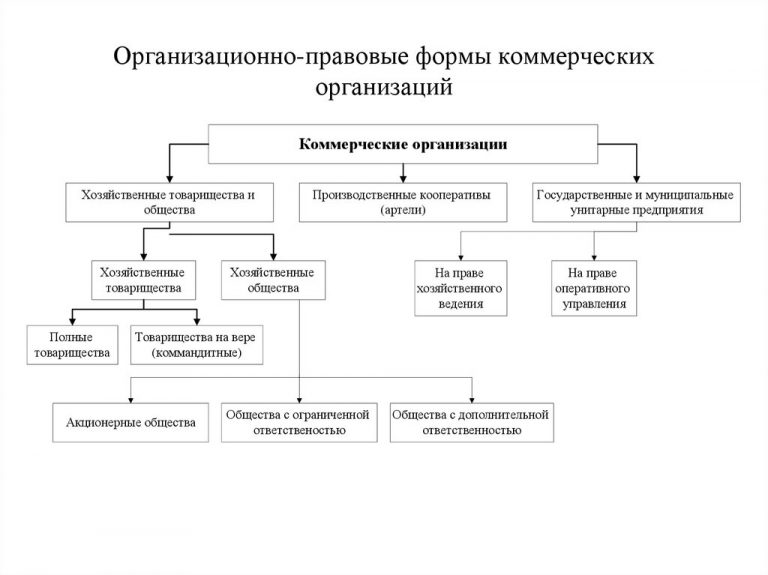 Как описать организационную структуру предприятия в отчете по практике